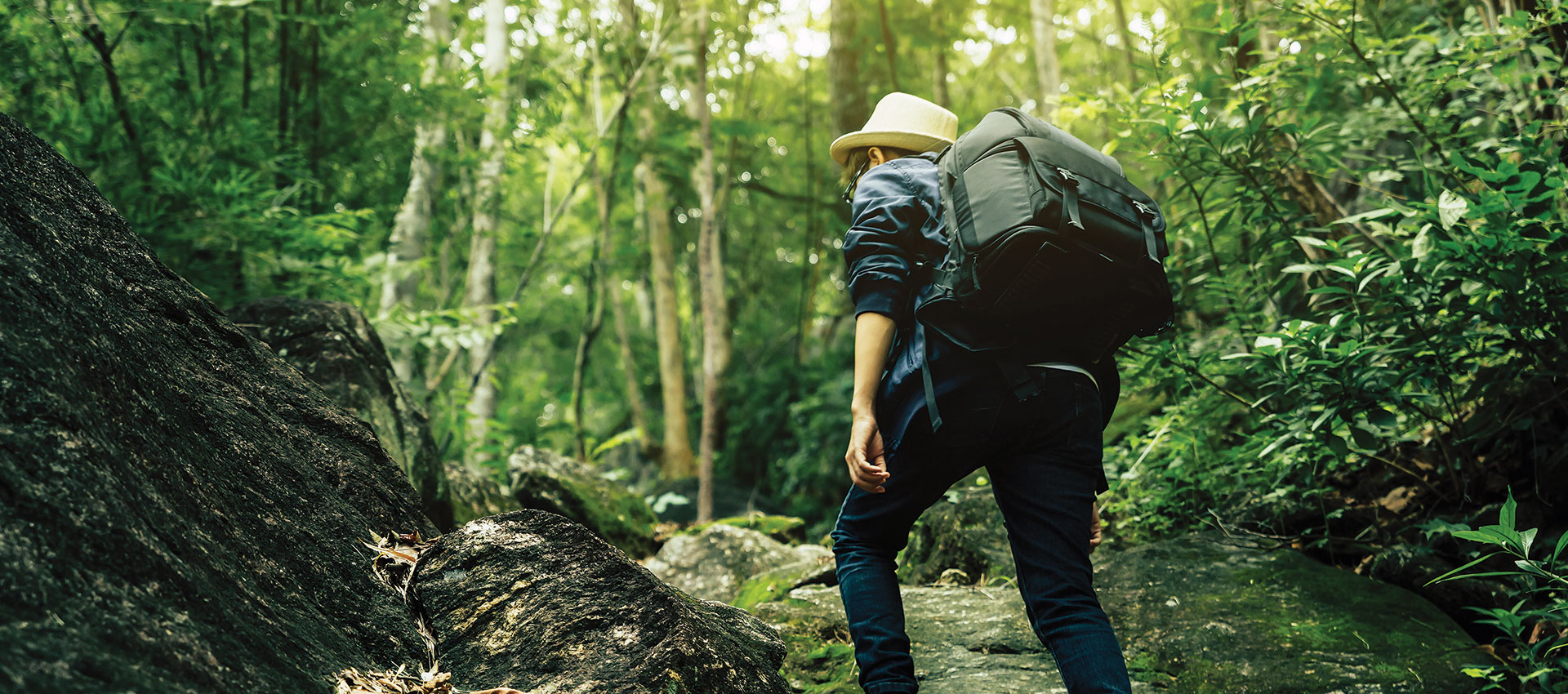 Trimurti Tours and Travels