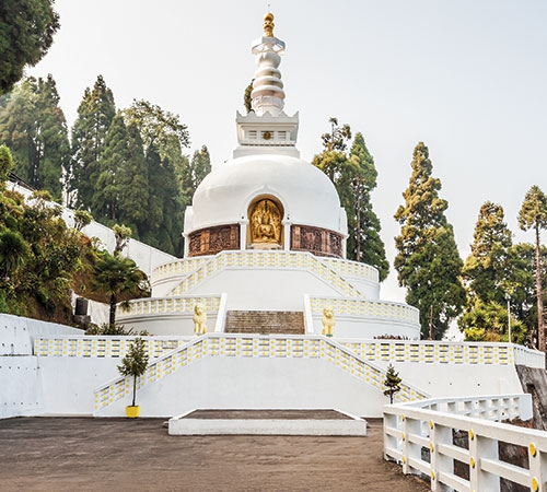 Relaxing break at Sterling Darjeeling
