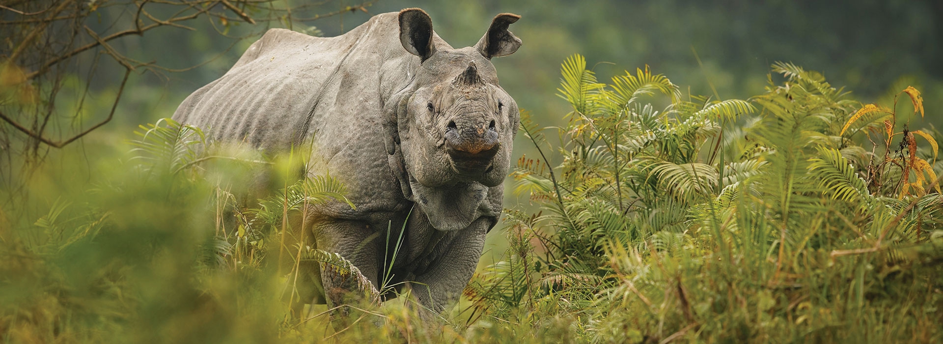 4 Days Tour of Mystic Meghalaya